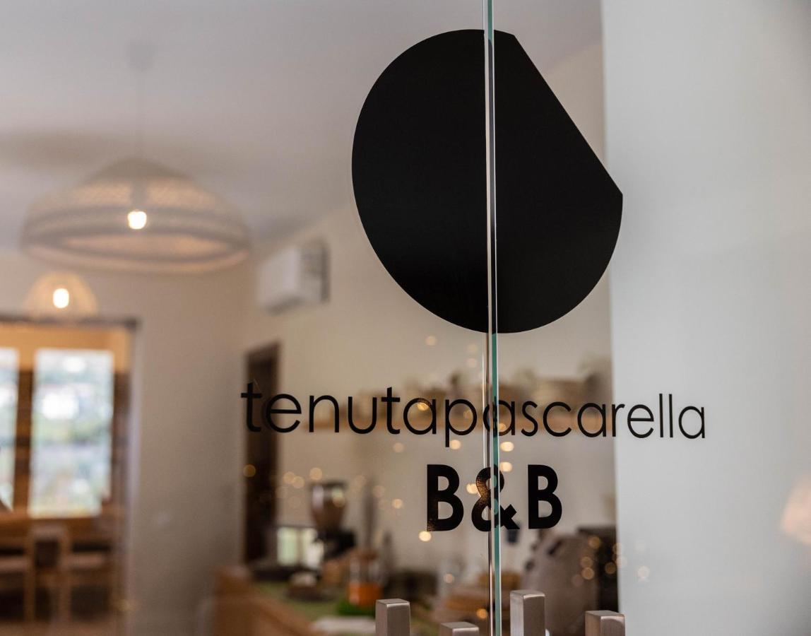 Tenuta Pascarella Bed & Breakfast Frasso Telesino Esterno foto