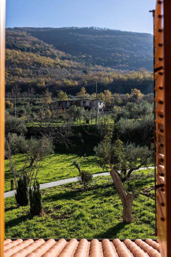 Tenuta Pascarella Bed & Breakfast Frasso Telesino Esterno foto